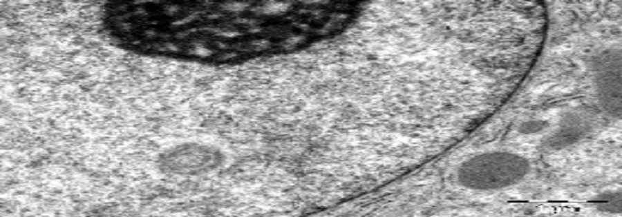 image002
